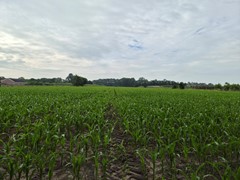 Koop:Kraatsweg, 6721 Bennekom - Foto