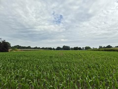 Koop:Kraatsweg, 6721 Bennekom - Foto