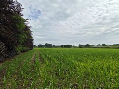 Koop:Kraatsweg, 6721 Bennekom - Foto