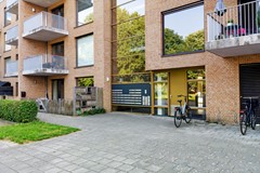 _V0A5163.jpg