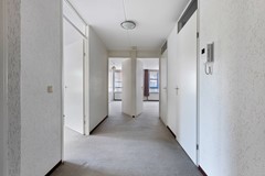 _V0A5896.jpg
