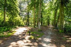 Van Reedeweg 36_51.jpg