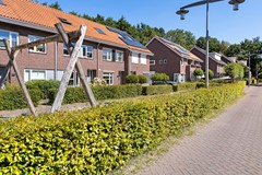 _V0A8133.jpg