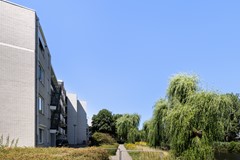 Professor Schermerhornpark 94_43a.jpg