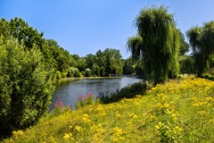 Professor Schermerhornpark 94_55.jpg