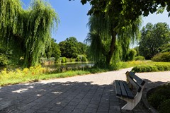 Professor Schermerhornpark 94_52.jpg