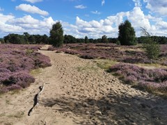 Koop:Wekeromseweg 34, 6718 SE Ede - Foto