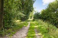Schoolstraat 48, Ederveen-28.jpg