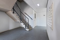 _V0A0467.jpg