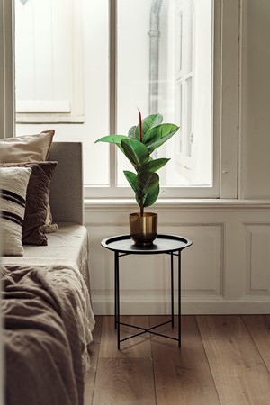 Medium property photo - Prinsengracht 801-2, 1017 KA Amsterdam