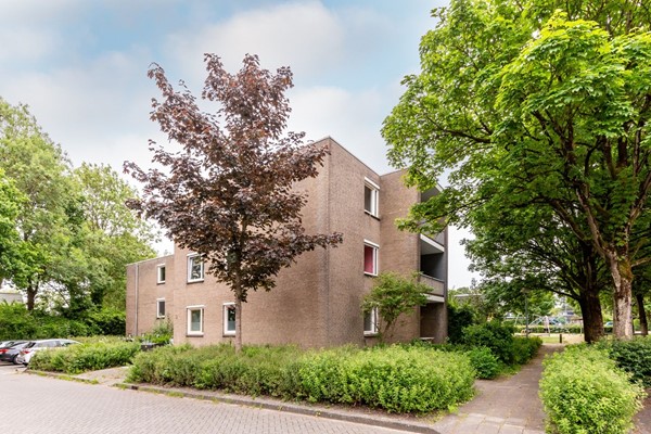 Photo - For rent: Archipel 17 62, 8224 GL Lelystad