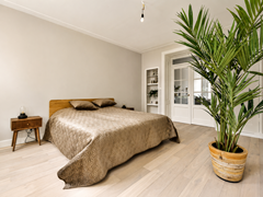 Sold subject to conditions: Ruyschstraat 50-2, 1091 CD Amsterdam