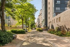 L1500019.JPG