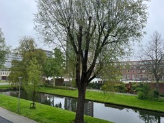 Burghsluissingel 99, 3086 VC Rotterdam - IMG_1612.JPEG