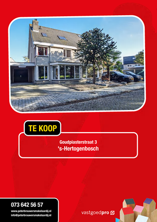 Brochure preview - Woningbrochure Goudpiasterstraat 3.pdf