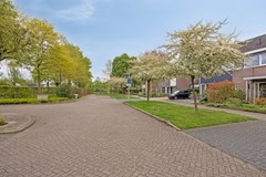Disselhof188131WLWijhe-03.jpg