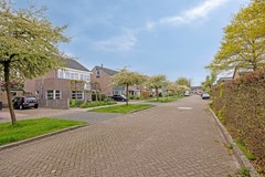 Disselhof188131WLWijhe-04.jpg