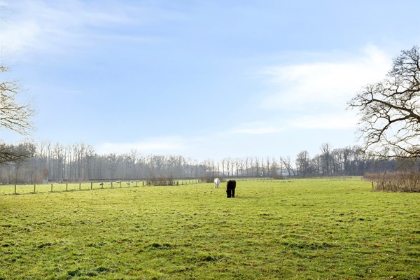 Medium property photo - Vennemanshoek 5, 8121 EZ Olst