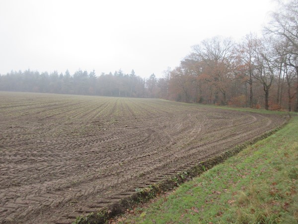 Onder bod: Wildenborchseweg, 7251KB Vorden