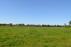 DSC_0082.JPG