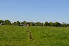 DSC_0087.JPG