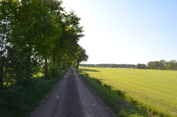 Medium property photo - Stellingweg 4, 7255 NM Hengelo (Gld)