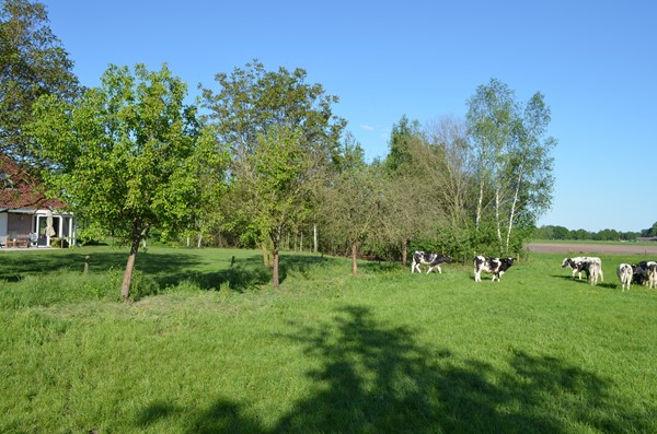Medium property photo - Stellingweg 4, 7255 NM Hengelo (Gld)