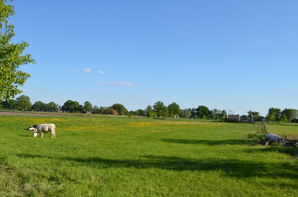 Medium property photo - Stellingweg 4, 7255 NM Hengelo (Gld)