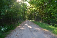 DSC_0149.JPG