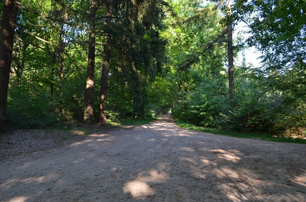 Medium property photo - Stellingweg 4, 7255 NM Hengelo (Gld)
