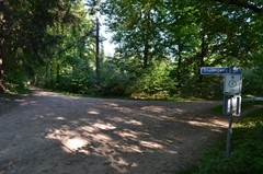DSC_0162.JPG