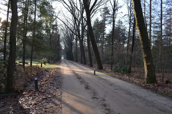 Medium property photo - Roessinkweg 28, 7255 PC Hengelo (Gld)