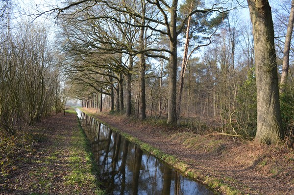 Medium property photo - Roessinkweg 28, 7255 PC Hengelo (Gld)