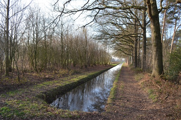 Medium property photo - Roessinkweg 28, 7255 PC Hengelo (Gld)