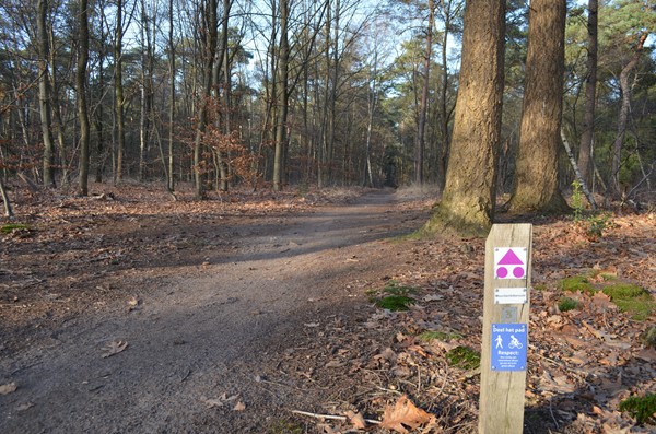 Medium property photo - Roessinkweg 28, 7255 PC Hengelo (Gld)