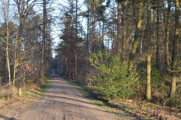 Medium property photo - Roessinkweg 28, 7255 PC Hengelo (Gld)