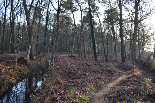 Medium property photo - Roessinkweg 28, 7255 PC Hengelo (Gld)