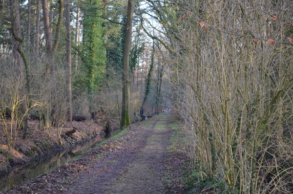 Medium property photo - Roessinkweg 28, 7255 PC Hengelo (Gld)