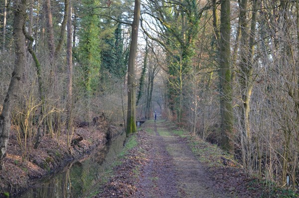 Medium property photo - Roessinkweg 28, 7255 PC Hengelo (Gld)