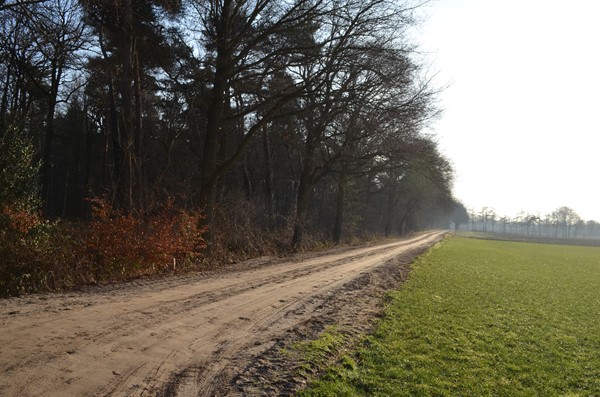 Medium property photo - Roessinkweg 28, 7255 PC Hengelo (Gld)