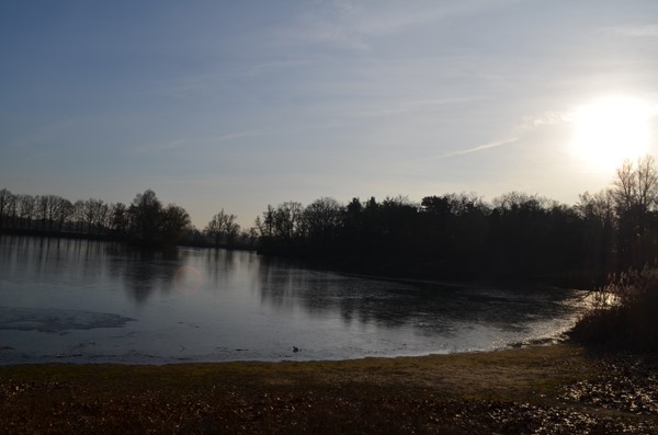 Medium property photo - Roessinkweg 28, 7255 PC Hengelo (Gld)