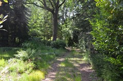 DSC_0017.JPG