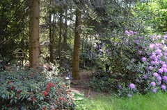 DSC_0024.JPG