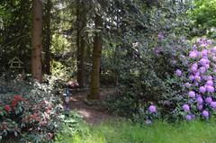 DSC_0025.JPG