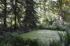 DSC_0031.JPG