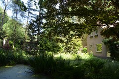 DSC_0033.JPG