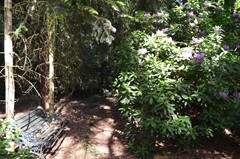 DSC_0042.JPG