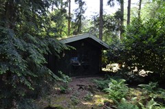 DSC_0044.JPG