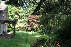 DSC_0047.JPG
