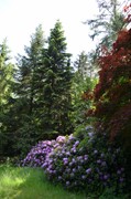 DSC_0049.JPG